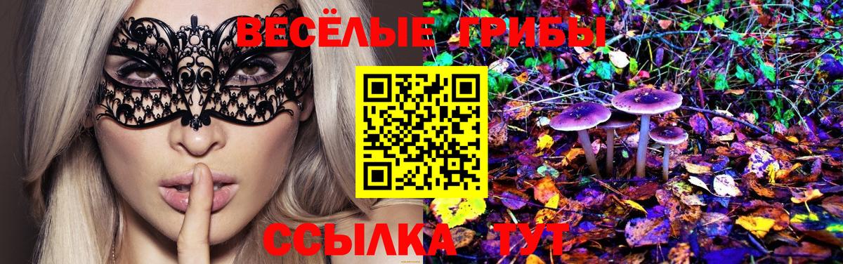 Псилоцибиновые грибы Psilocybe Пыть-Ях